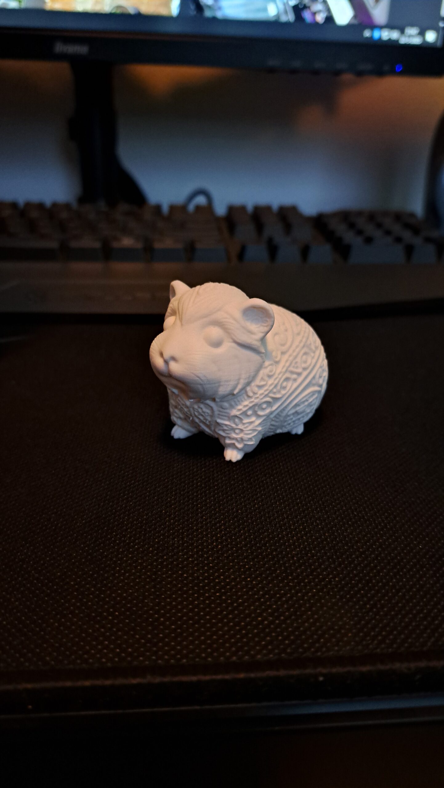 Cavia