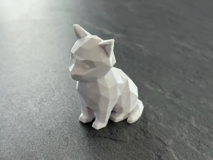 Kat/Poes